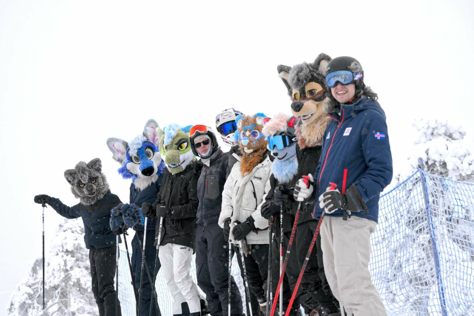 26 - 35 Fursuit skiing gruppen poser