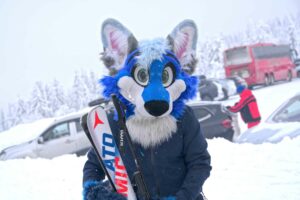 Læxifox Posing in fursuit